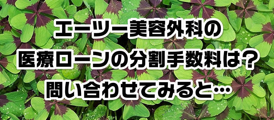 エーツー美容外科の医療ローンの分割手数料は?問い合わせてみると…